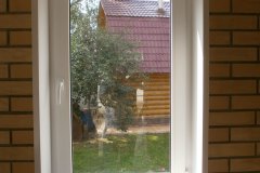 P8010266